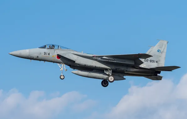 Mitsubishi, взлет, ВВС Японии, F-15J