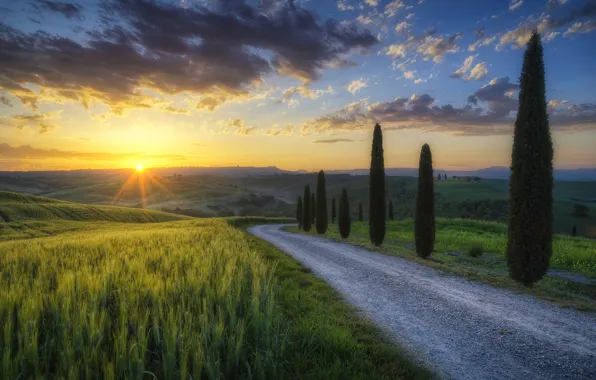Картинка дорога, солнце, лучи, свет, деревья, поля, утро, Италия