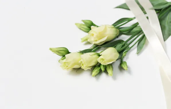 Букет, лента, эустома, eustoma