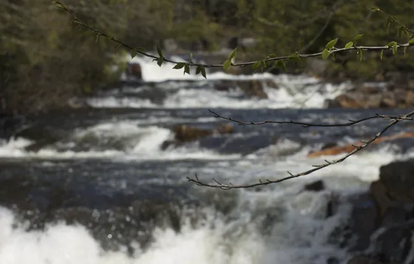 Canada, River, Quebec, cascade, Riviere a Pierre