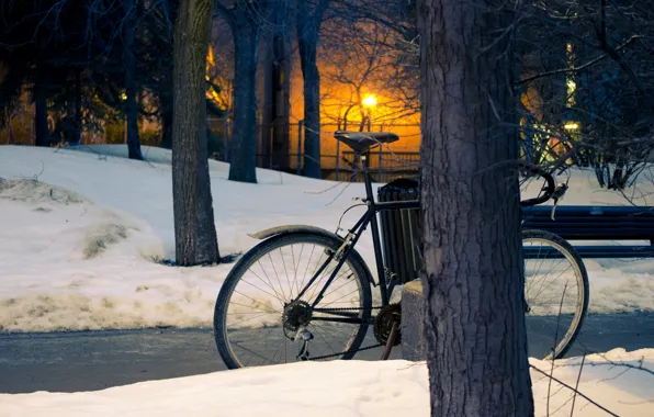 Картинка зима, солнце, снег, деревья, закат, парк, улица, trees
