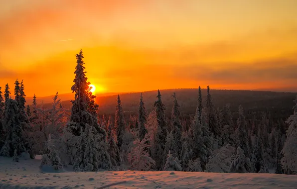 Картинка зима, небо, облака, снег, деревья, закат, горы, Финляндия