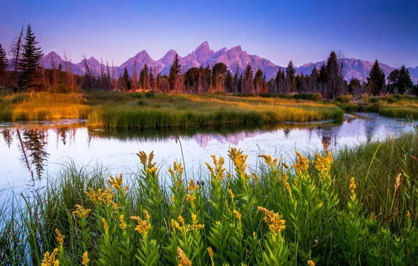 Пейзаж, горы, река