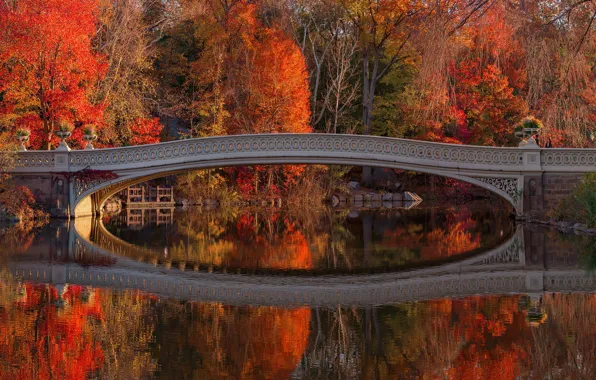 Картинка фото, Природа, Отражение, Нью-Йорк, Мост, Осень, Деревья, Река