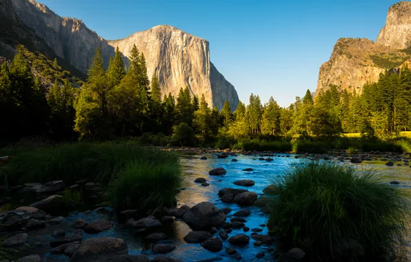 Картинка лес, горы, река, долина, Калифорния, California, Национальный парк Йосемити, Yosemite National Park