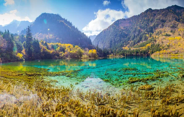 Осень, лес, небо, солнце, облака, деревья, горы, озеро
