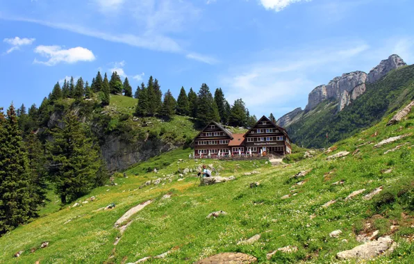 Картинка лес, небо, трава, облака, деревья, горы, камни, дома
