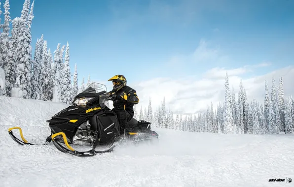 Картинка Небо, Деревья, Снег, Лес, Чёрный, Снегоход, Snowmobile, Ski-Doo