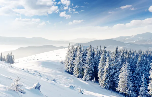 Картинка зима, облака, снег, ёлки, сопки