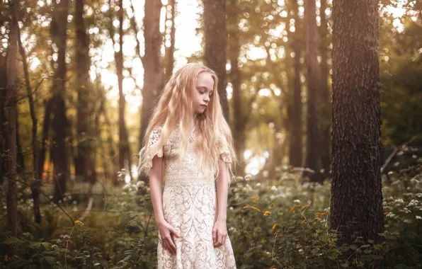 Лес, девочка, Aleah Michele, Little Bird
