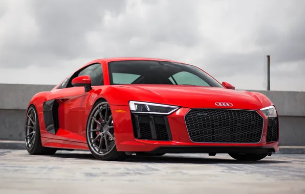 Картинка Audi, V10, Track, ADV10, Spec, 2017, r8