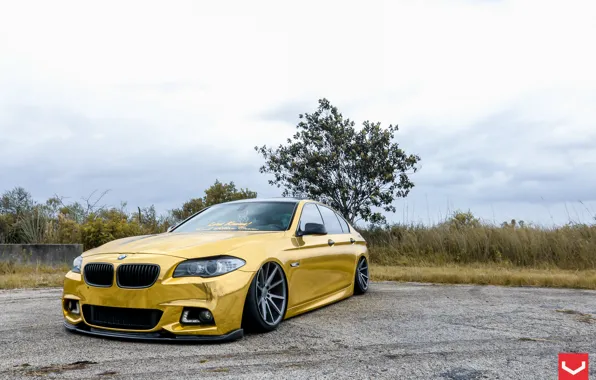 Картинка BMW, gold, vossen, Series