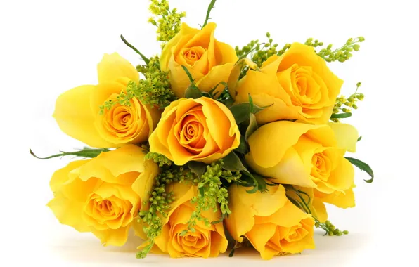 Цветы, розы, букет, жёлтые