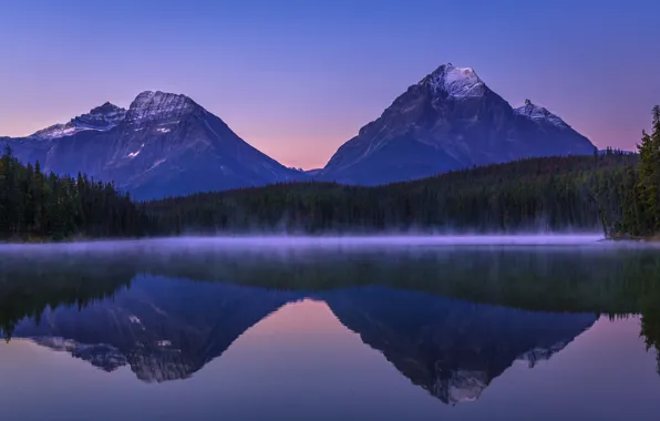 Лес, закат, горы, озеро, отражение, вершины, Канада, Альберта