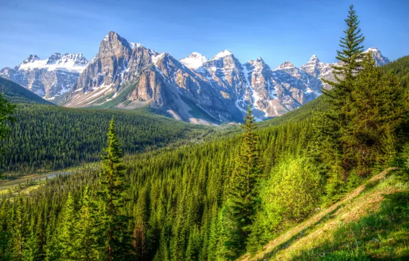 Картинка лес, пейзаж, горы, природа, парк, Канада, Банф