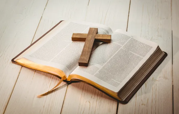 Wood, paper, crucifix, bible