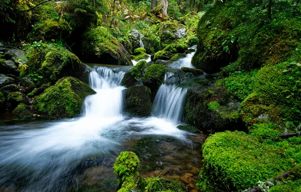 Картинка природа, река, камни, водопад, мох