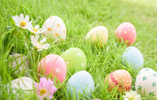 Картинка трава, цветы, яйца, Пасха, flowers, spring, Easter, eggs