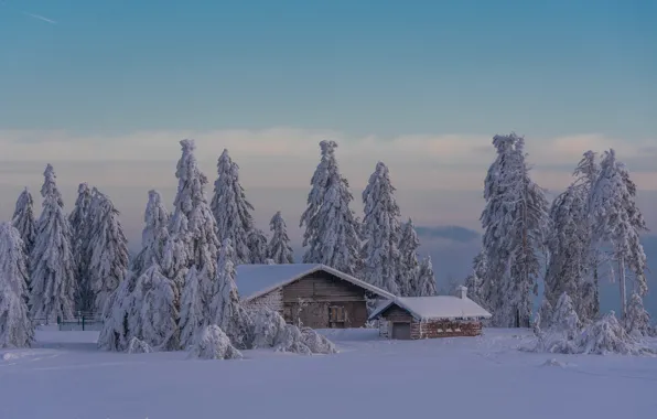 Картинка зима, снег, деревья, пейзаж, природа, дом, ели, сарай