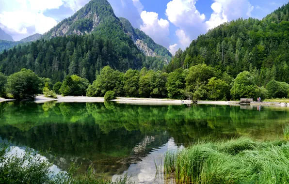 Лес, трава, облака, деревья, горы, озеро, Словения, Kranjska Gora