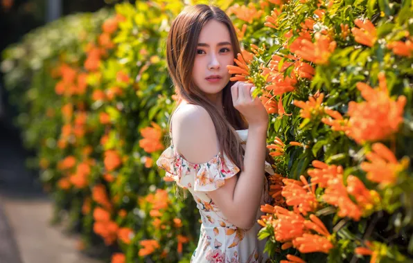 Взгляд, платье, азиатка