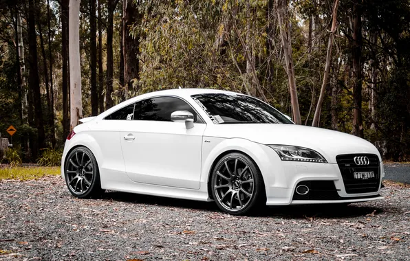 Картинка Audi, ауди, белая, white