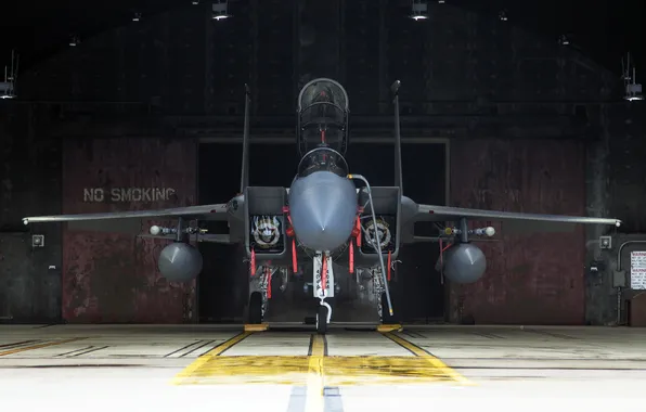 Истребитель, Eagle, «Игл», F-15D