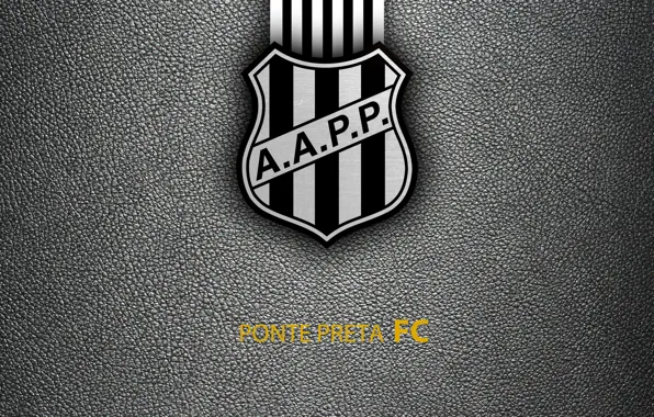 Wallpaper, sport, logo, football, Brazilian Serie A, Ponte Preta