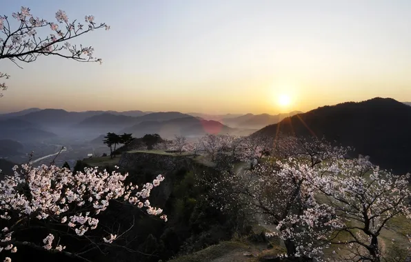 Картинка Природа, Горы, Япония, Japan, Красиво, Nature, Beautiful, Sakura