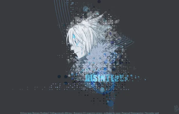 Аниме, арт, парень, D.Gray-man, Allen Walker