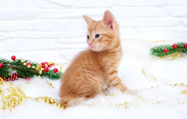 Кошка, кот, котенок, рыжий, Рождество, Новый год, бусы