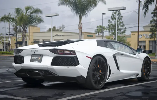 Картинка Lamborghini, Cars, Beach, White, LP700-4, Aventador, Newport