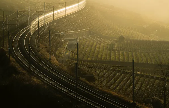 Туман, утро, железная дорога