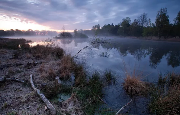 Картинка пейзаж, туман, река, утро