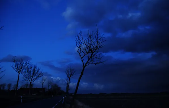 Дорога, облака, деревья, Ночь, силуэты, road, sky, trees