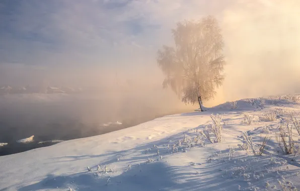 Картинка зима, снег, пейзаж, природа, озеро, дерево, берег, берёза