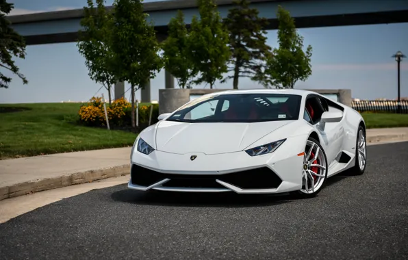 Картинка Lamborghini, white, brige, Huracan, LP610