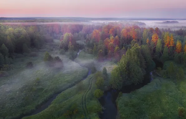 Картинка осень, пейзаж, природа, туман, утро, леса, реки, Владимир Рябков