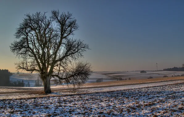 Картинка зима, дорога, поле, снег, природа, фото, дерево
