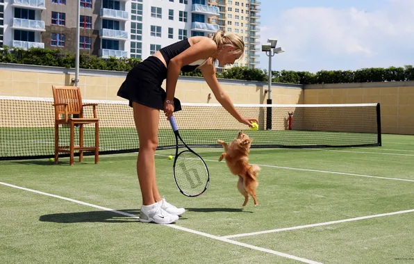 Картинка девушка, сетка, модель, мяч, собака, стул, теннисистка, ракетка