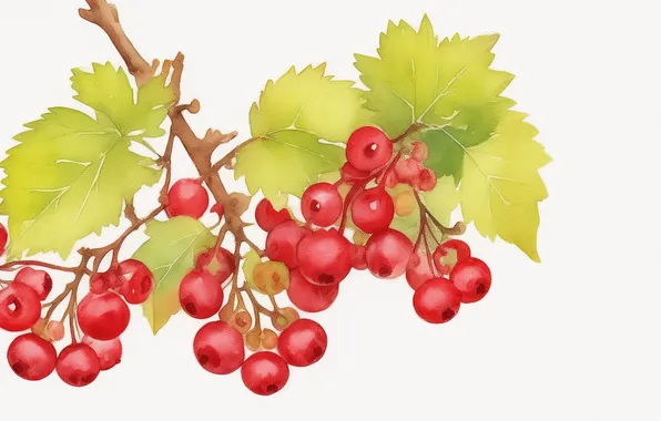 Красный, зеленый, green, рисунок, еда, berry, ягода, акварель