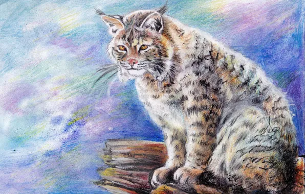 Холод, зима, взгляд, морда, животное, хищник, живопись, рысь
