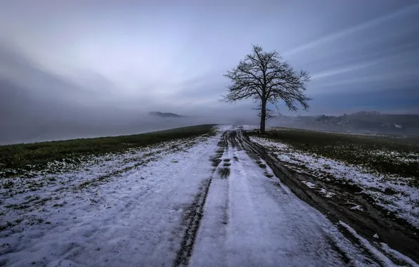 Картинка зима, поле, снег, дерево