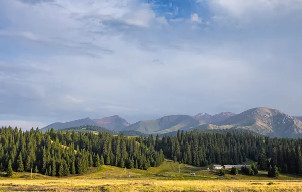 Поле, лес, небо, облака, горы, холмы, склоны, вид
