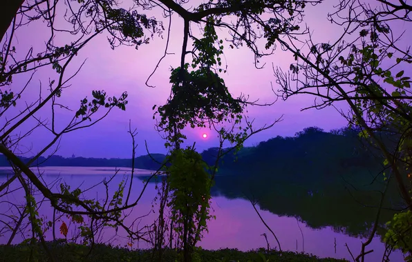 Sun, Water, Sunrise, Dawn, Morning, Lake, Trees, Reflection
