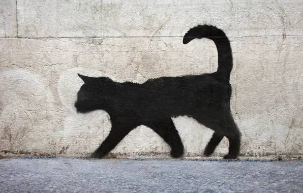 Картинка поверхность, стена, граффити, текстура, черный кот, graffiti, кирпичная, black cat