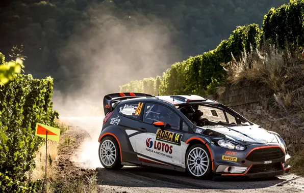 Ford, Пыль, Поворот, Germany, WRC, Rally, Ралли, Fiesta