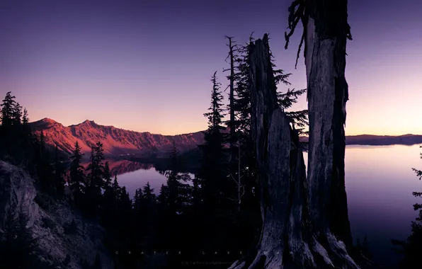 Картинка деревья, закат, горы, озеро