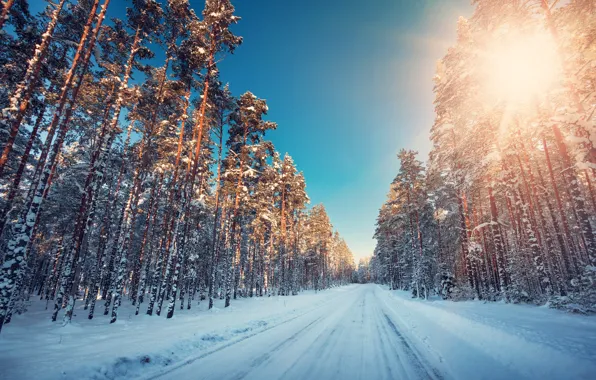 Зима, Дорога, Деревья, Снег
