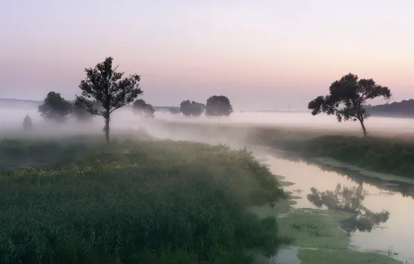 Картинка пейзаж, природа, туман, река